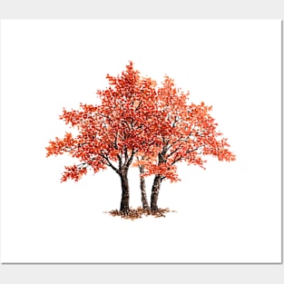 March birthday maple tree Posters and Art